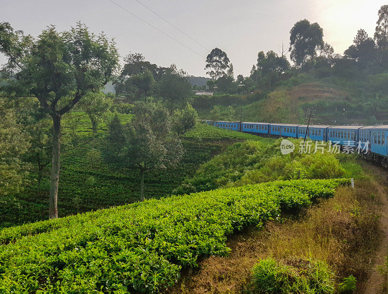 在斯里兰卡的火车旅行通过茶叶种植园Ella, Nuwara Eliya和Kandy